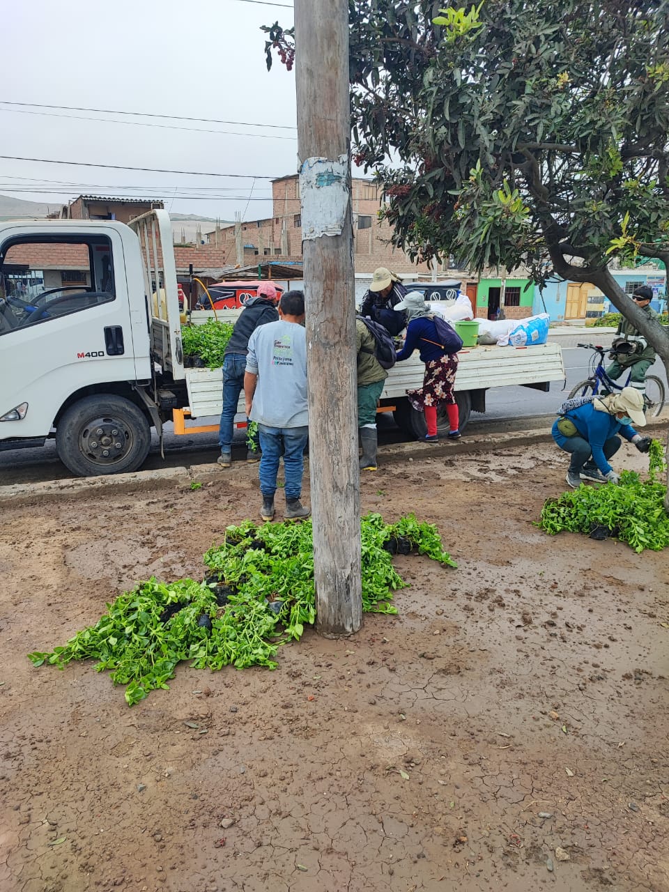 WhatsApp Image 2024-11-25 at 11.07.50 PM